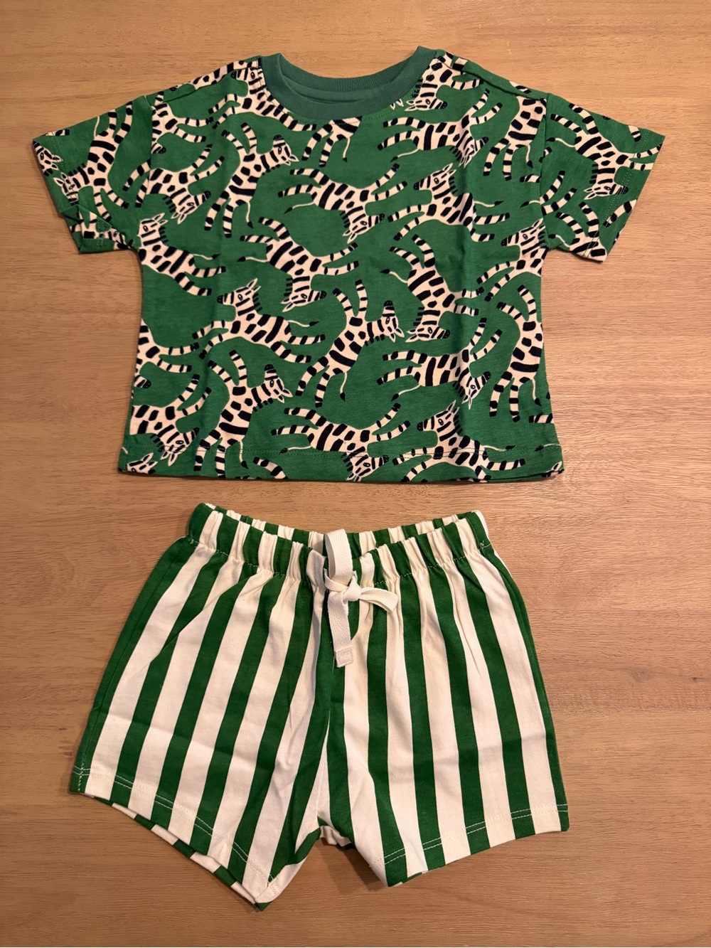 Relaxed Fit T-Shirt and Shorts Set in Roaming Zebras Print
